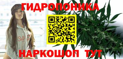 спиды Заводоуковск